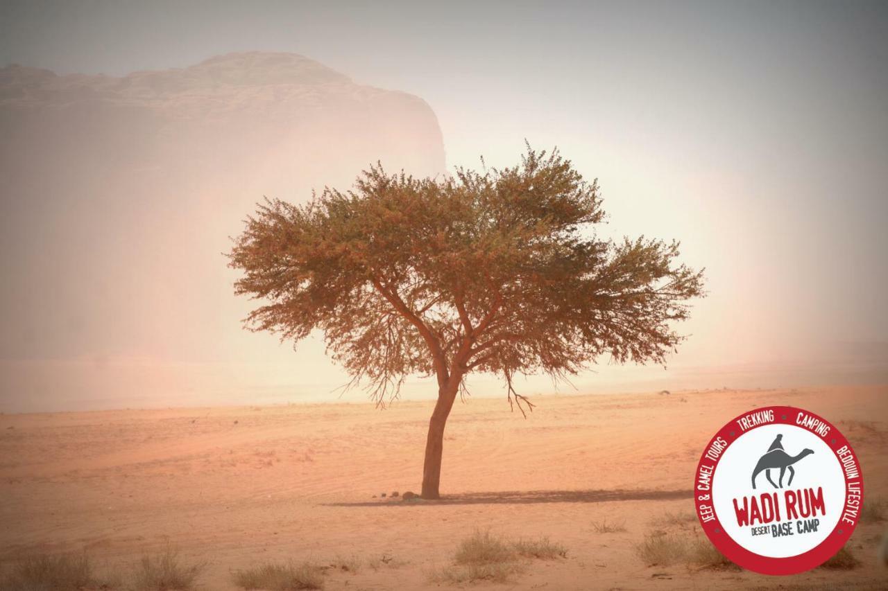 Wadi Rum Desert Base Camp المظهر الخارجي الصورة